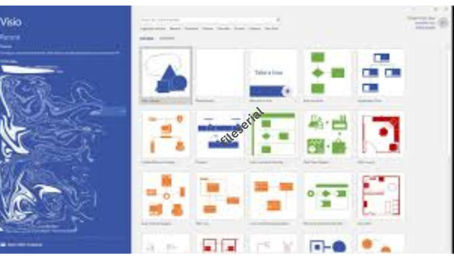 Microsoft Visio Pro